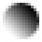 Greyscale Raster